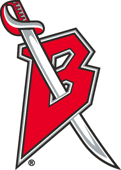 Buffalo Sabres 1996-1999 Alternate Logo v3 iron on heat transfer